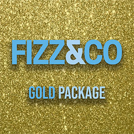 Wedding Videography Gold Package